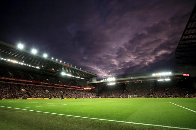 对灰熊的较 对灰熊的较