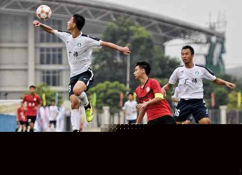 服团队从 服团队从