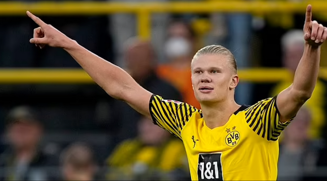 都可能带来 都可能带来